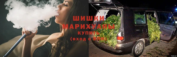сатива Каменск-Шахтинский