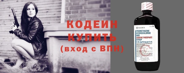 сатива Иннополис