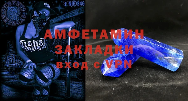 mix Инта