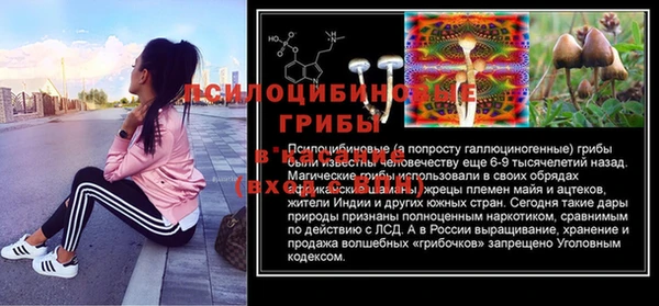 mix Инта