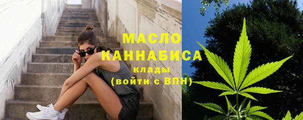 сатива Каменск-Шахтинский